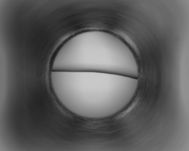 X0000092070837200710031117