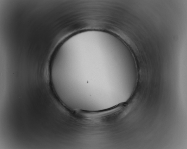 X0000092070838200710031117