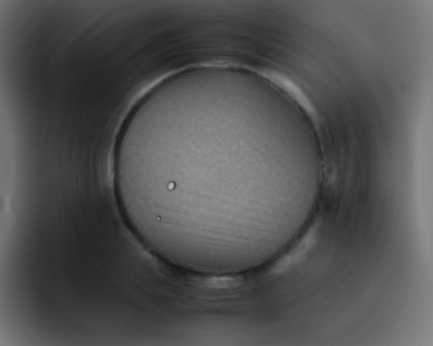 X0000092070839200710031117