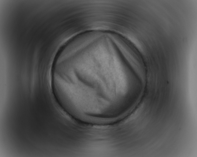 X0000092070840200710031117