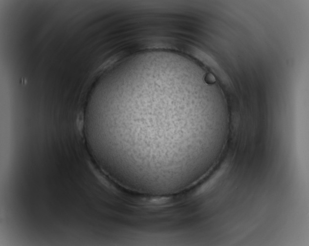 X0000092070841200710031117