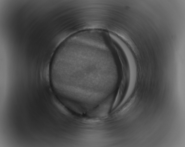 X0000092070842200710031117