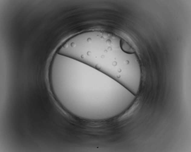 X0000092070843200710031117