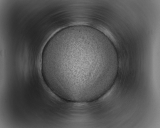 X0000092070844200710031117
