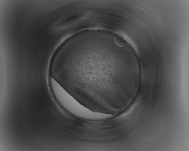 X0000092070845200710031117