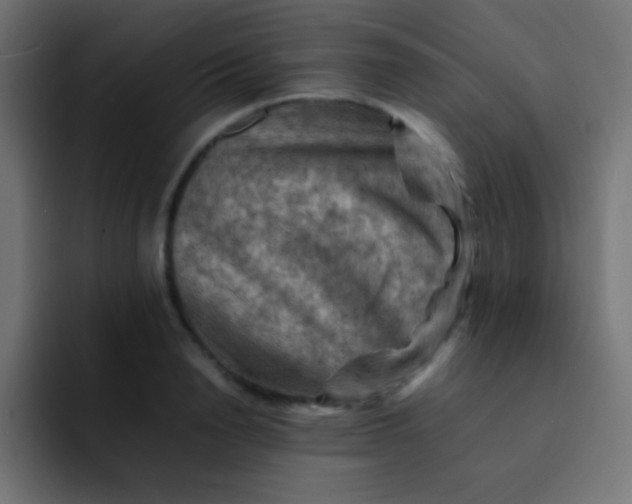 X0000092070846200710031117