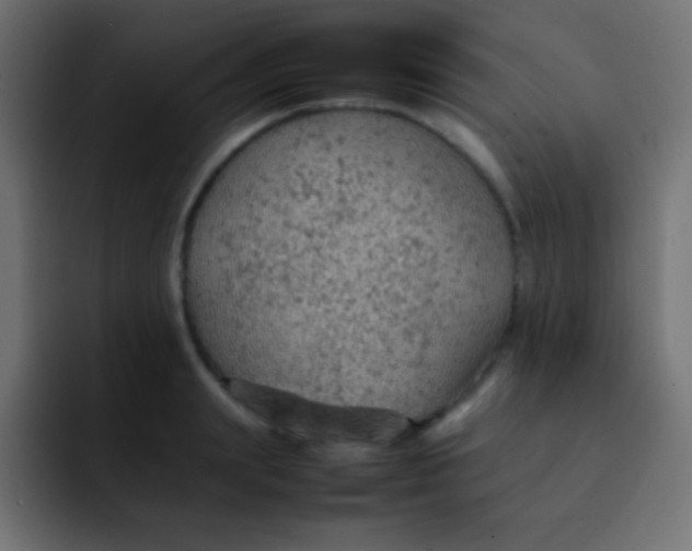 X0000092070847200710031117