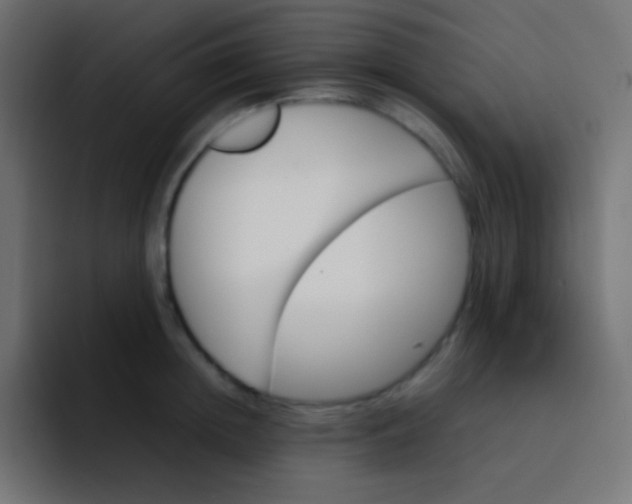 X0000092070852200710031117