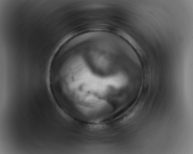 X0000092070853200710031117