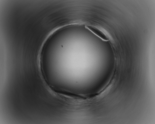 X0000092070854200710031117