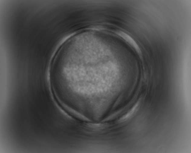 X0000092070855200710031117