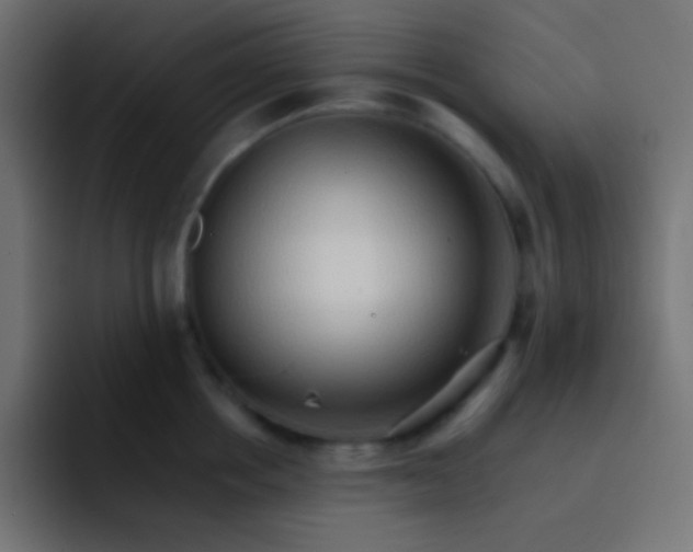 X0000092070858200710031117
