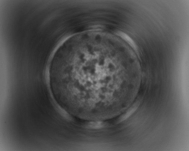 X0000092070859200710031117