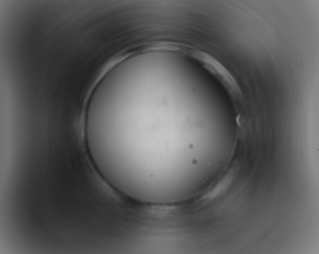 X0000092070860200710031117