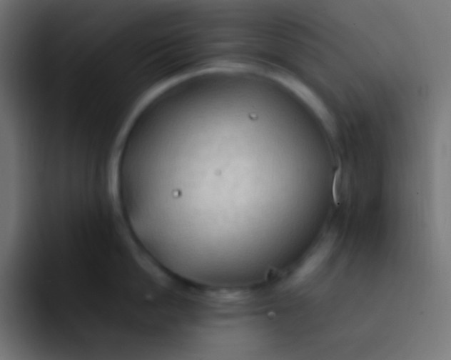 X0000092070862200710031117