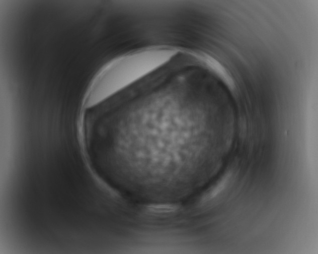 X0000092070863200710031117