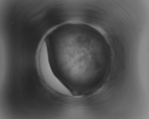 X0000092070864200710031117