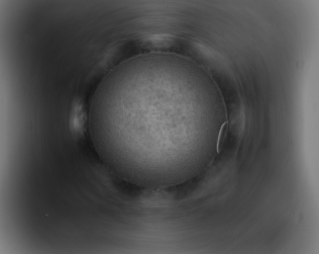 X0000092070866200710031117