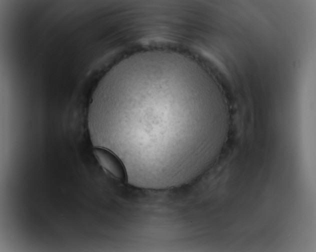 X0000092070870200710031117