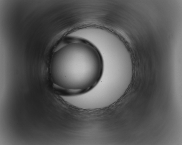 X0000092070872200710031117