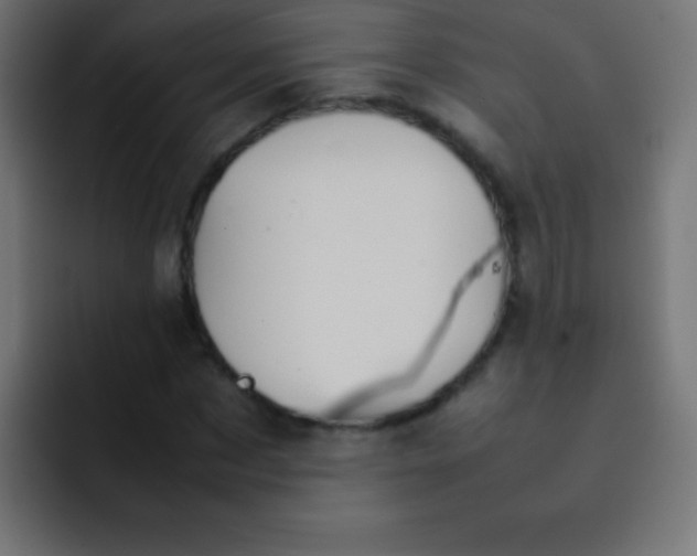 X0000092070873200710031116