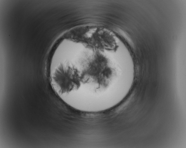 X0000092070875200710031116
