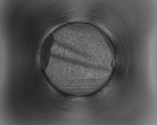X0000092070877200710031116