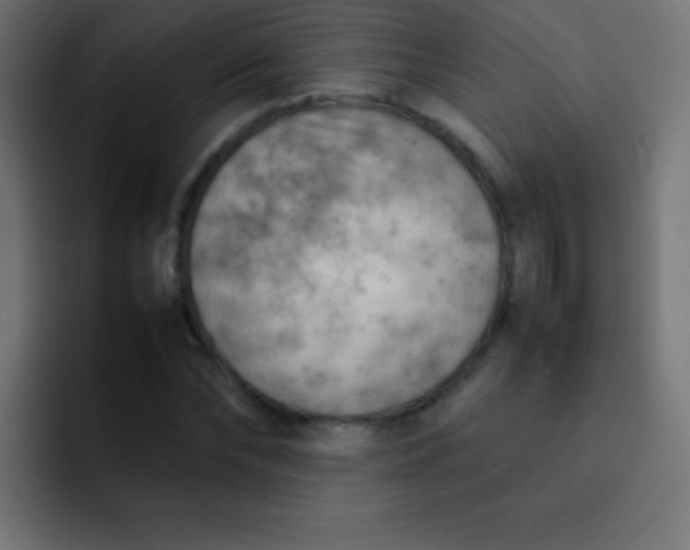 X0000092070878200710031116