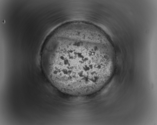 X0000092070879200710031116