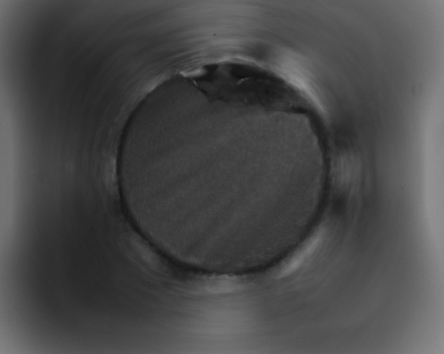 X0000092070881200710031116