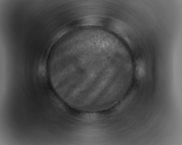 X0000092070882200710031116