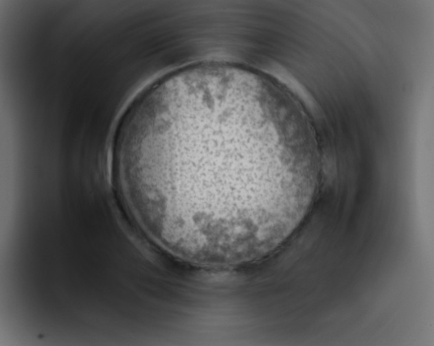 X0000092070886200710031116