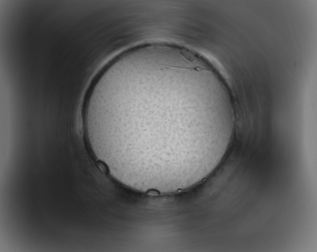 X0000092070887200710031116