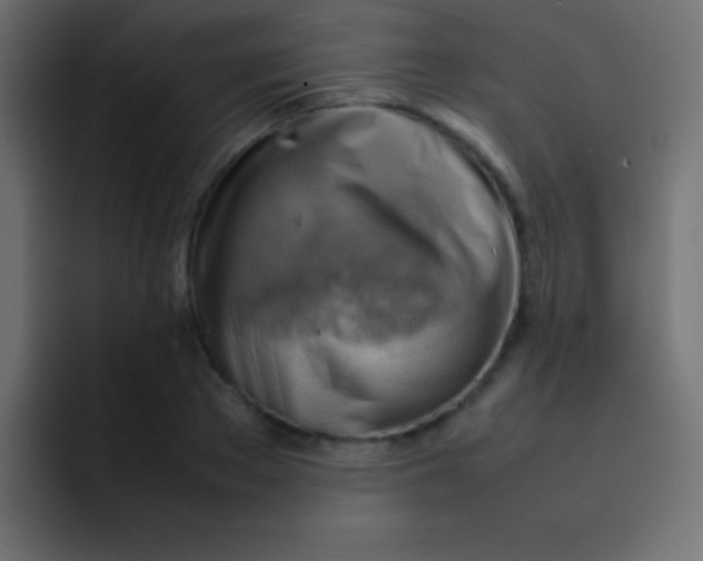 X0000092070889200710031116