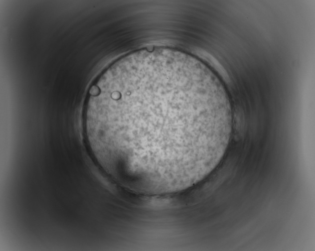 X0000092070890200710031116