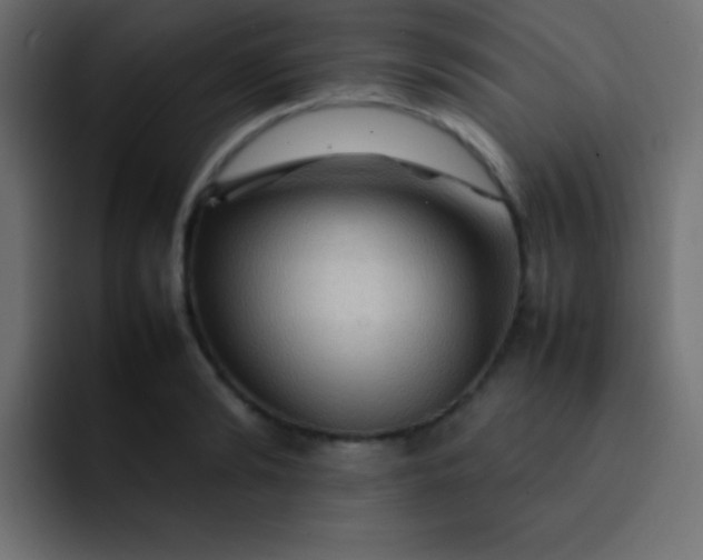 X0000092070894200710031116