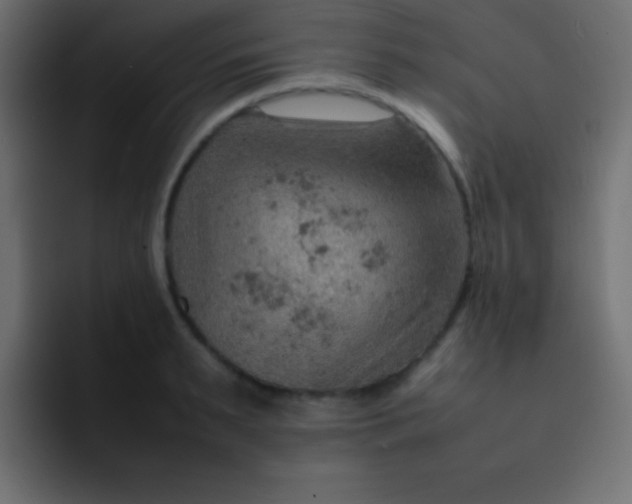 X0000092070895200710031116