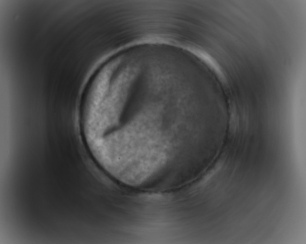 X0000092070896200710031116