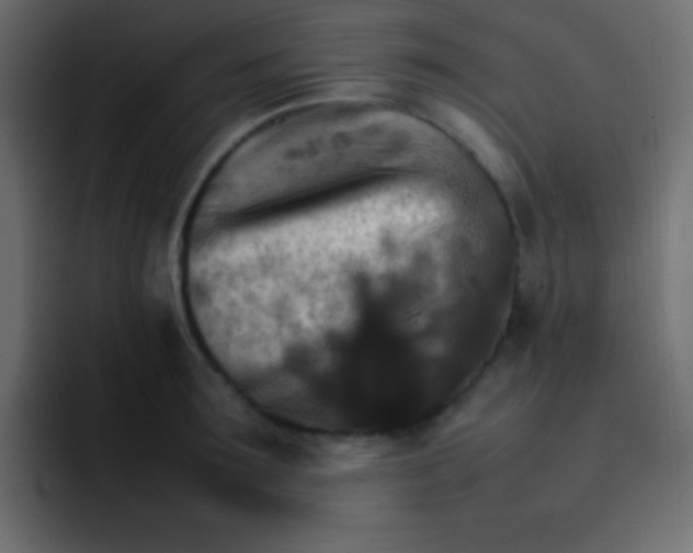 X0000092070899200710031116