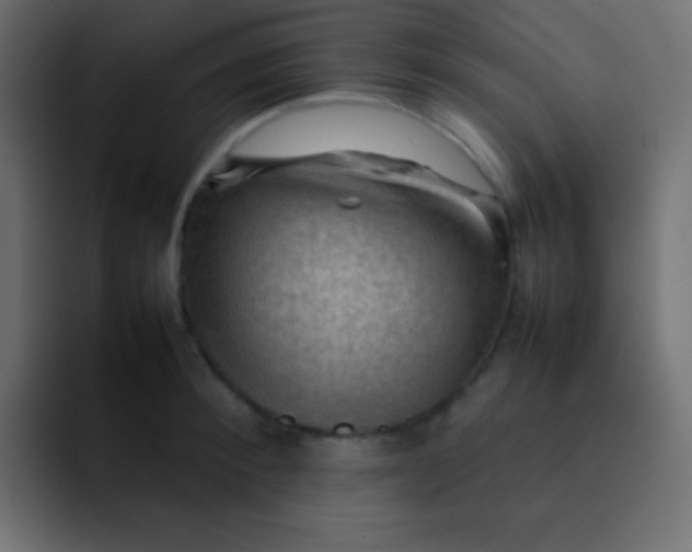 X0000092070900200710031116
