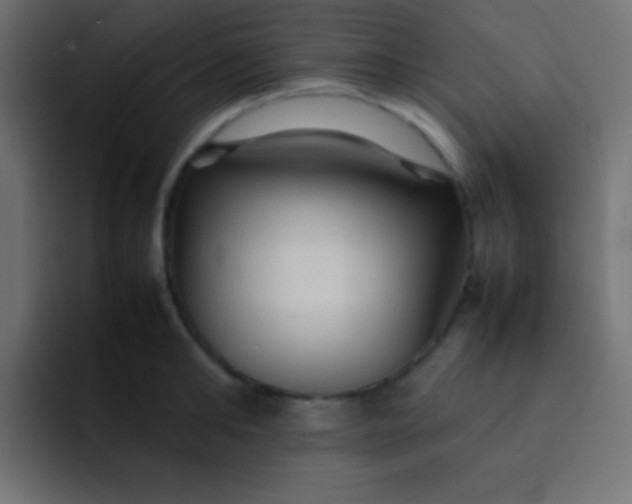X0000092070902200710031116