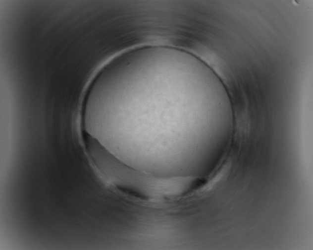 X0000092070904200710031116