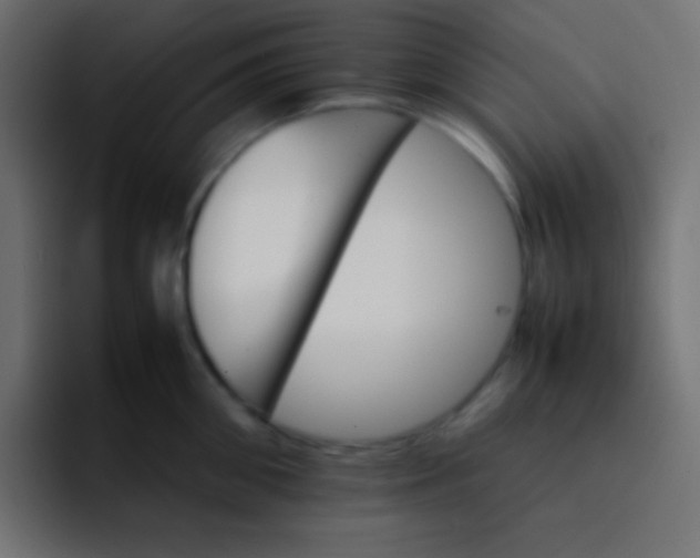 X0000092070906200710031116