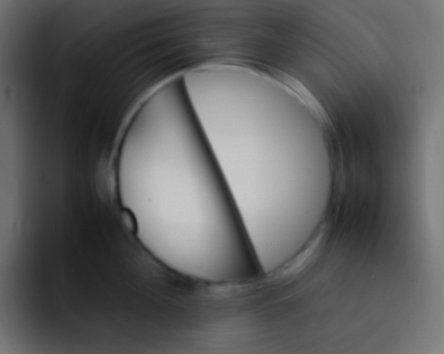 X0000092070908200710031116