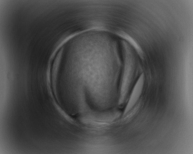X0000092070910200710031116