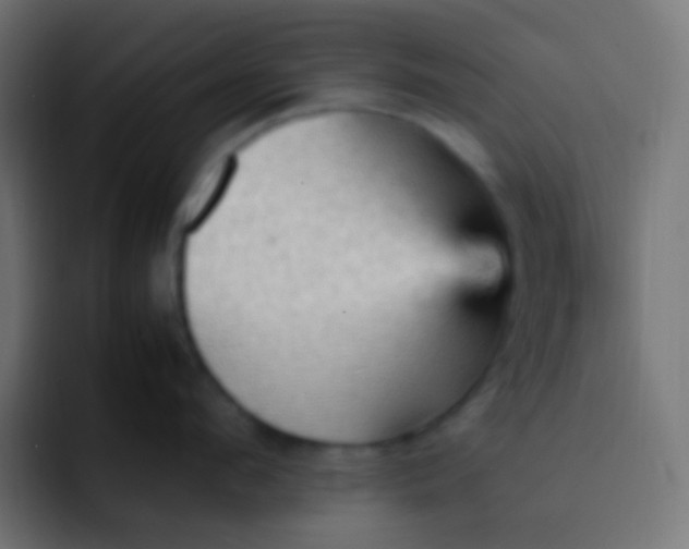 X0000092070912200710031116