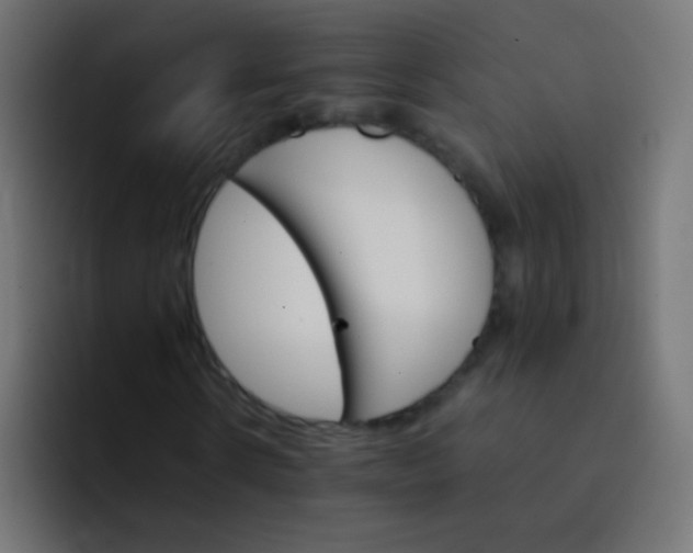 X0000092070914200710031115