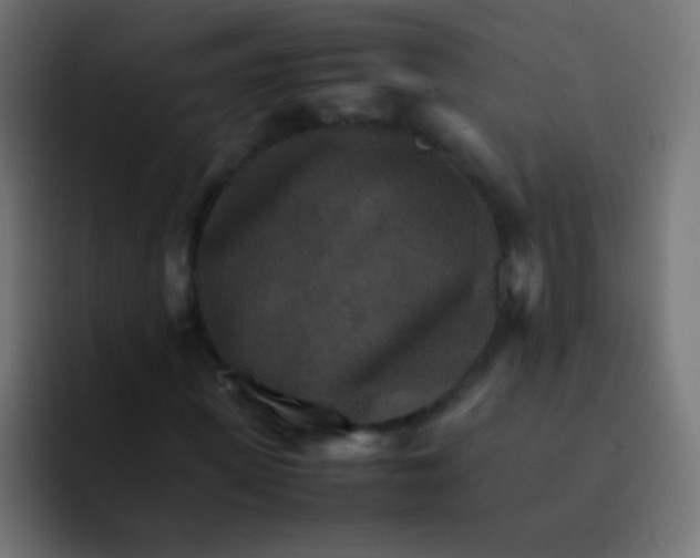 X0000092070915200710031116