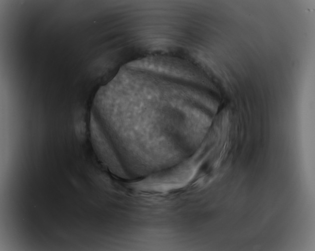 X0000092070916200710031116