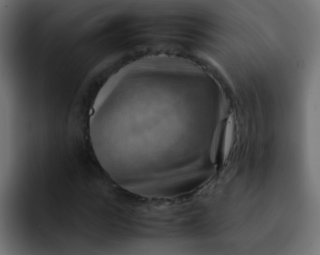 X0000092070919200710031116